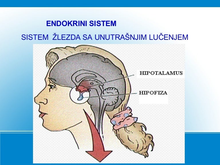 Glukoza - Poliklinika Analiza